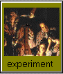 The Experiment